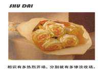云南中视快运物流有限公司