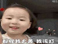 云南中视快运物流有限公司