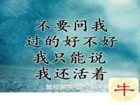 云南中视快运物流有限公司