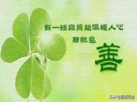 云南中视快运物流有限公司