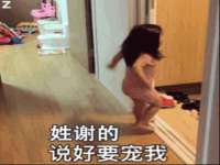 云南中视快运物流有限公司