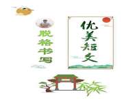 云南中视快运物流有限公司