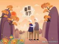 云南中视快运物流有限公司