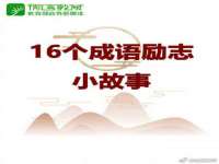 云南中视快运物流有限公司