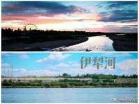 云南中视快运物流有限公司