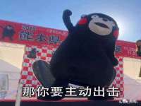 云南中视快运物流有限公司