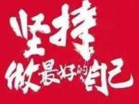 云南中视快运物流有限公司