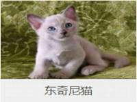 云南中视快运物流有限公司