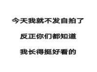云南中视快运物流有限公司