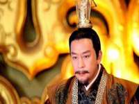 云南中视快运物流有限公司
