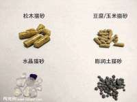 云南中视快运物流有限公司