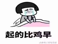 云南中视快运物流有限公司