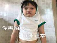 云南中视快运物流有限公司