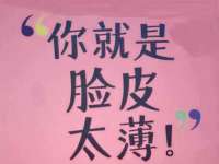云南中视快运物流有限公司