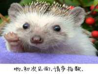 云南中视快运物流有限公司