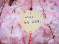 云南中视快运物流有限公司