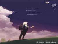 云南中视快运物流有限公司