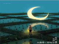 云南中视快运物流有限公司