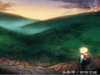 云南中视快运物流有限公司