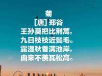 云南中视快运物流有限公司