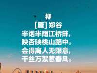 云南中视快运物流有限公司