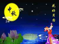 云南中视快运物流有限公司