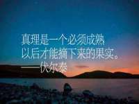 云南中视快运物流有限公司