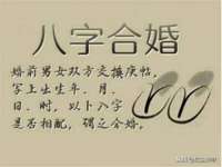 云南中视快运物流有限公司
