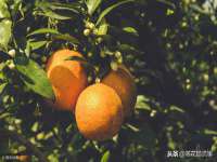云南中视快运物流有限公司