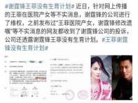 云南中视快运物流有限公司