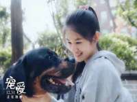 云南中视快运物流有限公司