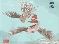 云南中视快运物流有限公司