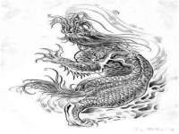 云南中视快运物流有限公司