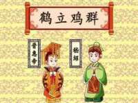 云南中视快运物流有限公司
