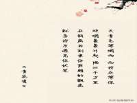 云南中视快运物流有限公司