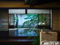 云南中视快运物流有限公司