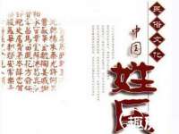 云南中视快运物流有限公司