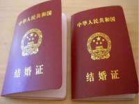 云南中视快运物流有限公司