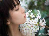 云南中视快运物流有限公司