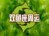 云南中视快运物流有限公司
