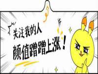 云南中视快运物流有限公司