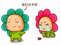云南中视快运物流有限公司